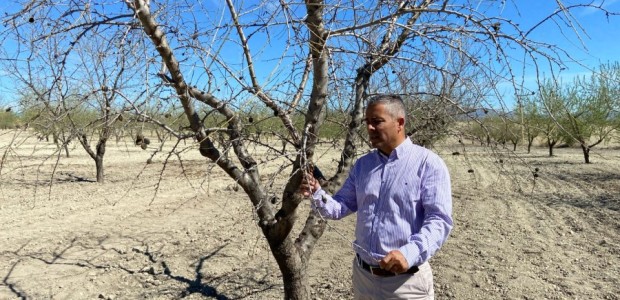 secano, agricultura, agricultores, campo, ayudas, CARM, ganaderos, BORM, sector primario