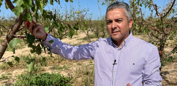 El PP exige al Gobierno de Sánchez que habilite ayudas para episodios de pedrisco como el ocurrido en Mula el jueves