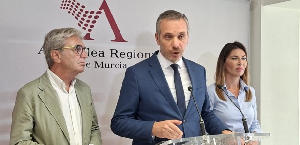 El PP denuncia que “la pinza PSOE-Vox impone en la Asamblea su estrategia contra el Partido Popular y rompe la proporcionalidad surgida de las urnas” El PP denuncia que “la pinza PSOE-Vox impone en la Asamblea su estrategia contra el Partido Popular y rompe la proporcionalidad surgida de las urnas”