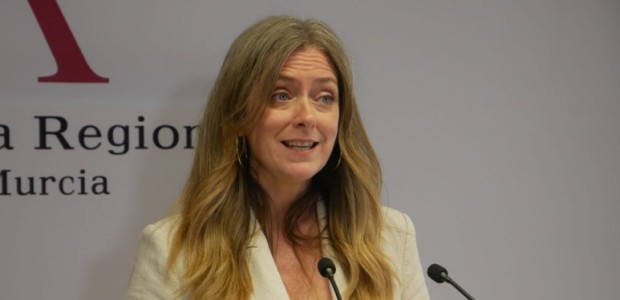 Casajús: “El PSOE reconoce su fracaso al aprobar un modelo de ayudas al vehículo eléctrico más directo y menos farrogoso, como viene pidiendo el Gobierno regional”