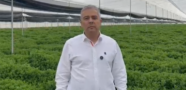 Cano: “Es vergonzoso que Sánchez se ensañe otra vez con el campo al denegar el uso “excepcional” del Movento para luchar contra la plaga del pulgón