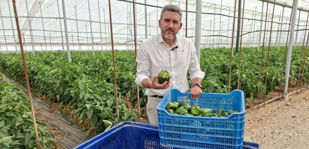 Antonio Luengo exige al Gobierno de Pedro Sánchez medidas urgentes ante el sobrecoste “inasumible” que sufre el campo de la Región