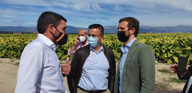 Luengo participa en encuentro de trabajo con Pablo Casado en defensa de la PAC