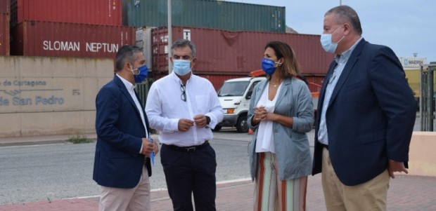 El PP defiende unidad europea en el control de las importaciones que impida el acceso de enví­os contaminados para no perjudicar al sector de los cí­tricos