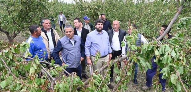 Cano: “En menos de 24 horas, el presidente López Miras da respuesta inmediata a los agricultores afectados por el granizo”